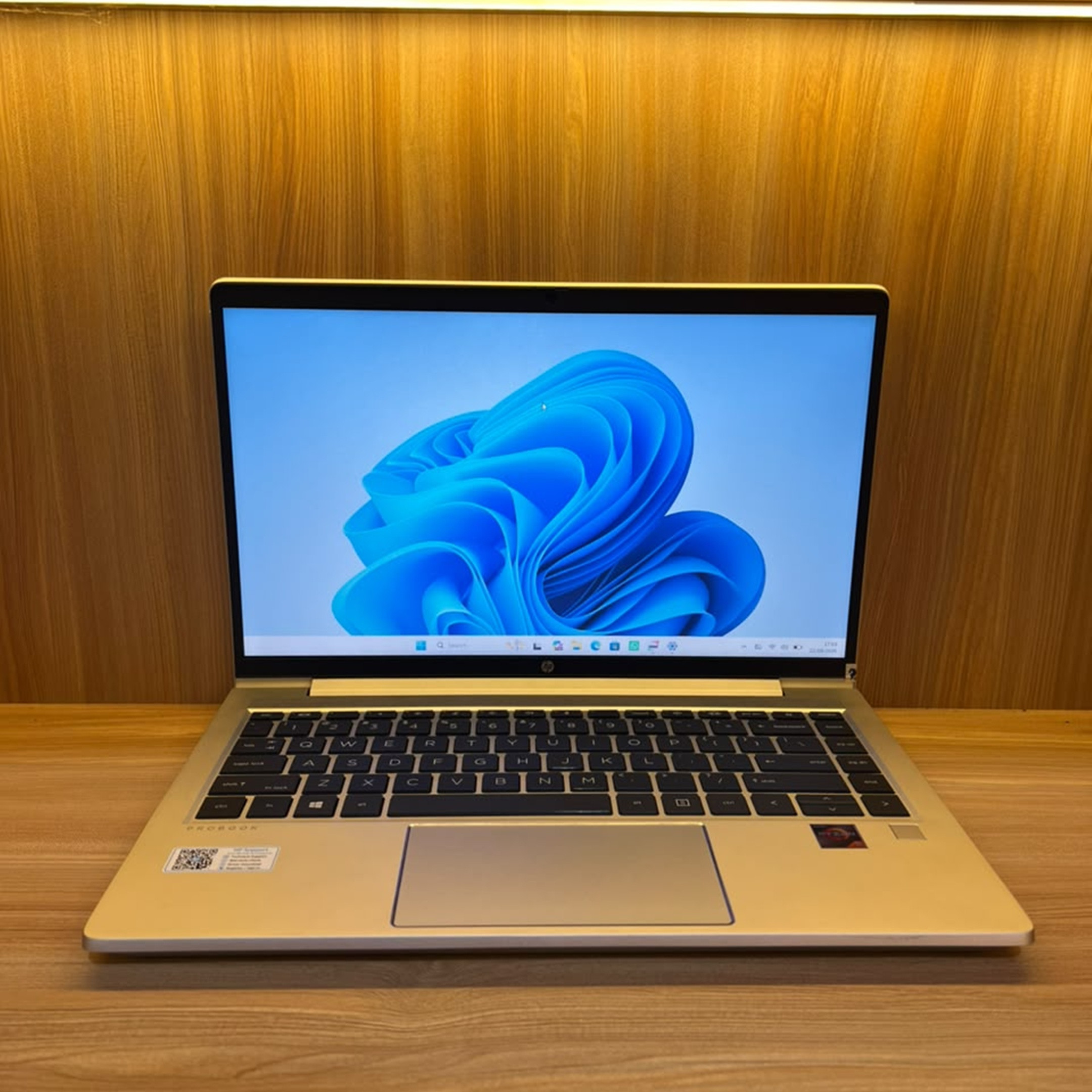 HP PROBOOK 445 G8 AMD RYZEN 5 RAM 8 SSD 2ND MURAH